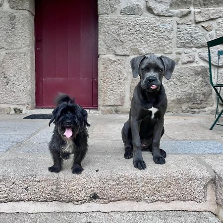 Marco de Canavezes Casa Da Eiraヴィラ エクステリア 写真