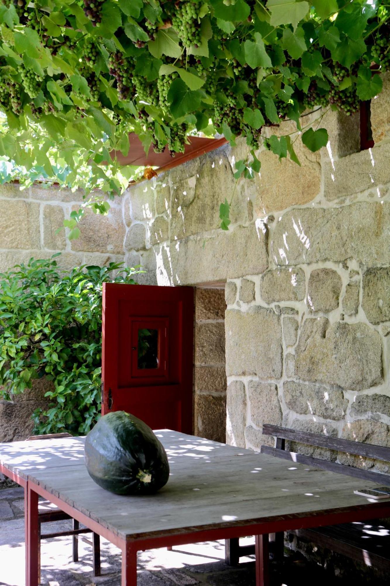 Marco de Canavezes Casa Da Eiraヴィラ エクステリア 写真